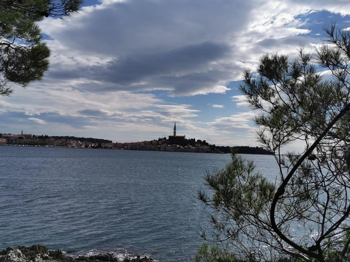 Apartments Sandra Rovinj Bagian luar foto